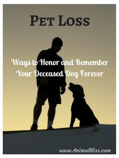 Ways to Honor and Remember Your Departed Canine Companion