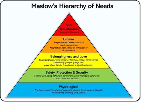 Wealth Evaluation of the Esteemed Personality