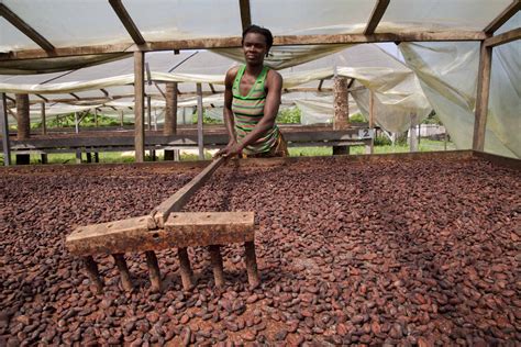 What's Next for Cocoa Shanelle in the Industry?