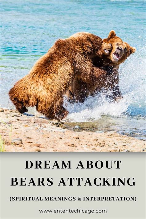 When a Dream Awakens the Soul: Exploring the Spiritual and Personal Growth Significance of Bear Encounter Dream Experiences