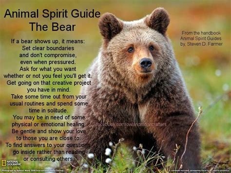 White Bears as Spiritual Guides and Messengers