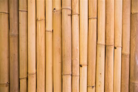 Why Bamboo is the Perfect Material for an Eco-Friendly Home