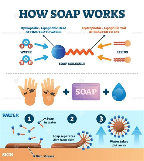 Why Soap Matters: The Science behind Hygiene