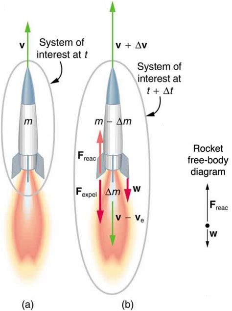 Wings or Rocket Propulsion? Decoding the Mechanics of Shrimp Flight