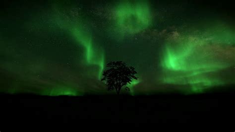 Witness the Enchanting Aurora Borealis Settling over the White Sea