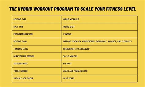 Workout Programs and Books