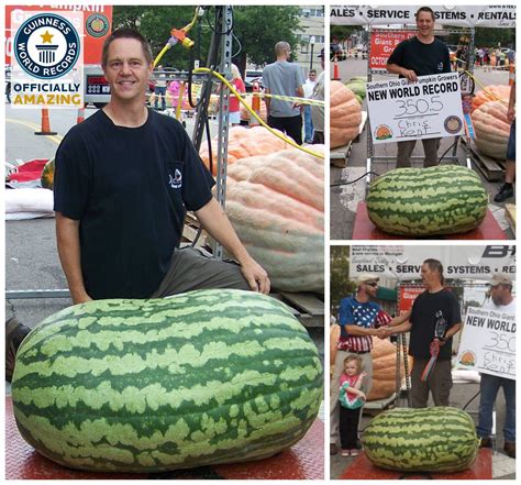 World Records and Unbelievable Sizes: The Largest Fruits Ever Grown