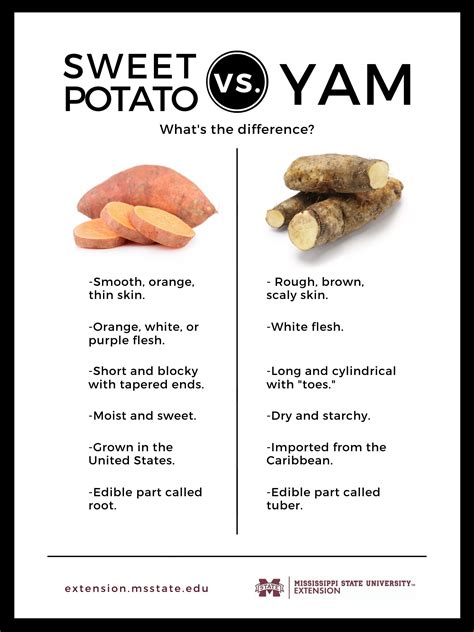 Yams vs Sweet Potatoes: Understanding the Difference and Making the Right Choice