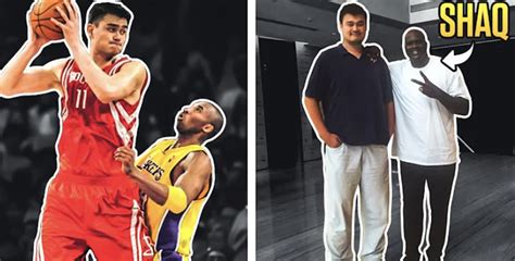 Yao Ming's Impressive Height Revealed