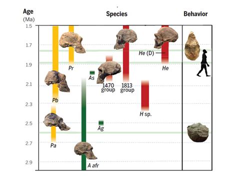 Years and Early Origins