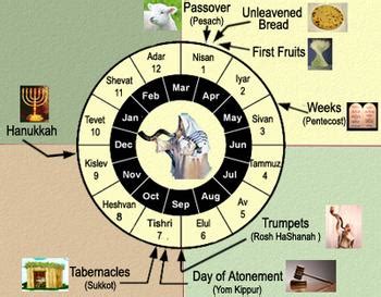 Years on Earth: How many Harvests has Gabriella Accumulated?