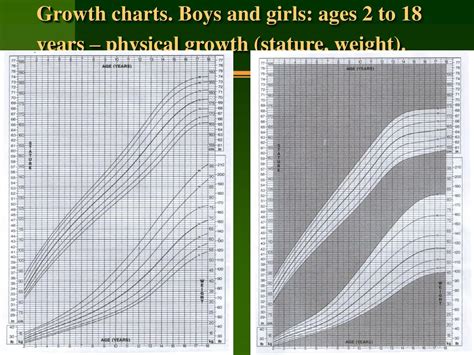 Years on Earth and Physical Stature